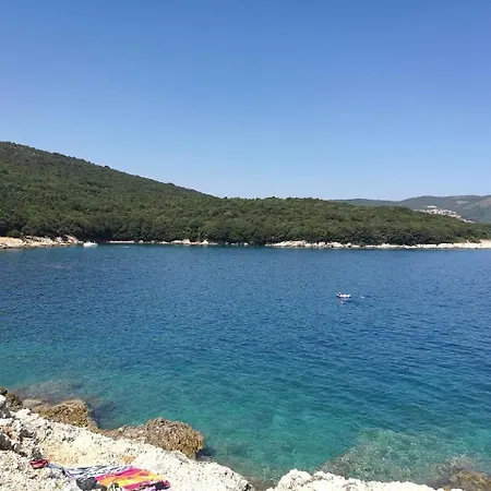 Διαμέρισμα Drenje 1